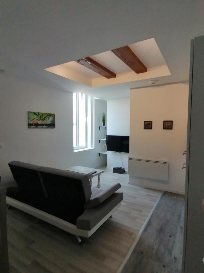 Jungle Zen Beau T2 Avec Jardin Gare 100M Apartment Tonneins ภายนอก รูปภาพ